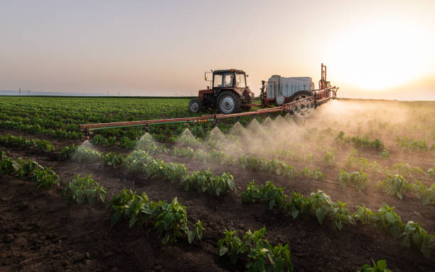 Best Commercial Pest Control Services  in Haskell, OK