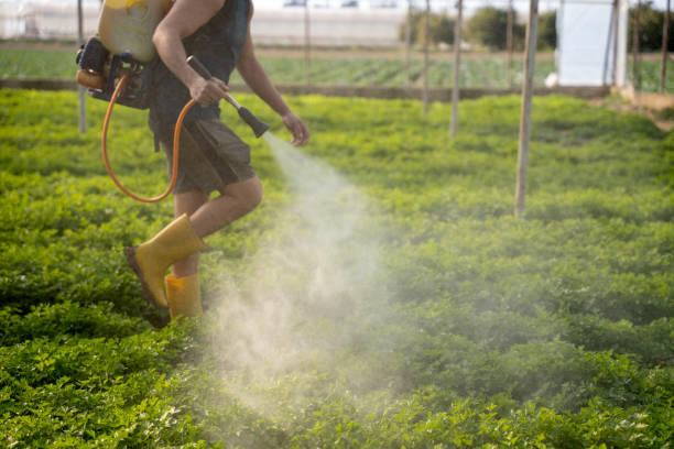 Best Exterminator Services  in Haskell, OK