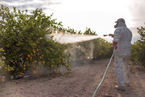 Best Pest Control for Restaurants  in Haskell, OK
