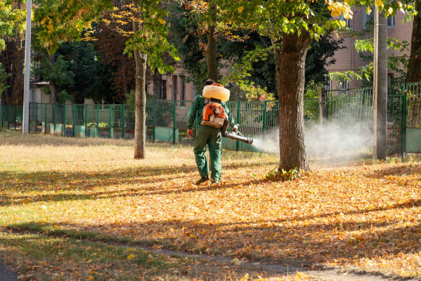 Best Bed Bug Extermination  in Haskell, OK