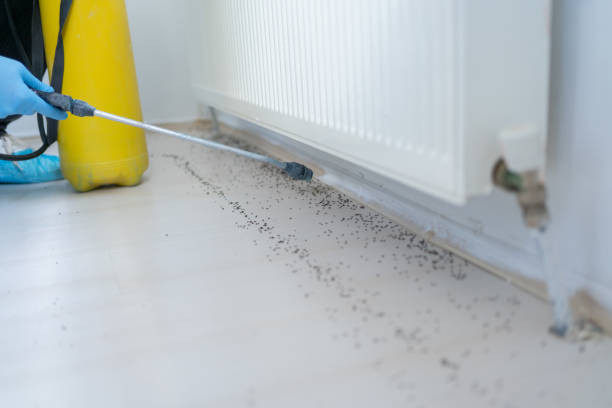 Best Cockroach Control Services  in Haskell, OK