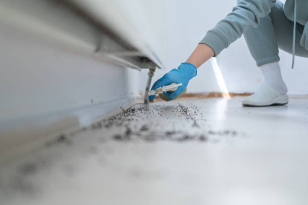 Best Cockroach Control Services  in Haskell, OK