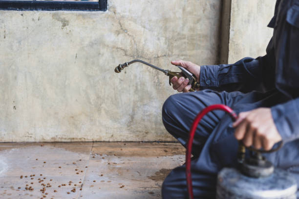 Pest Control Cost in Haskell, OK